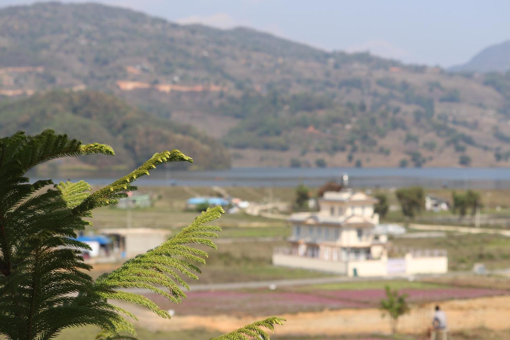 Hotel Young'S Stupa Ranipauwa Dış mekan fotoğraf